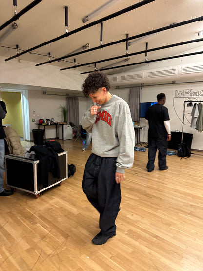 Sweatshirt gris ZMIG