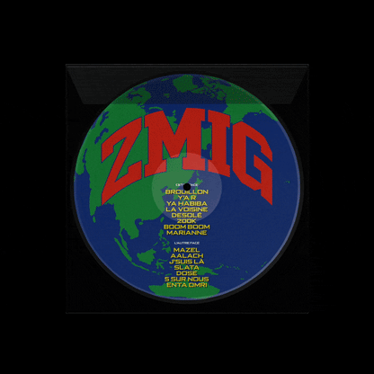 Album ZMIG - Vinyle Collector
